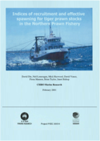 Indices of recruitment and effective spawning for tiger prawn stocks in the Northern Prawn Fishery