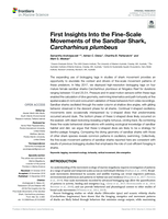 First Insights Into the Fine-Scale Movements of the Sandbar Shark, Carcharhinus plumbeus