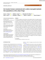 An invasive human commensal and a native marsupial maintain tick populations at the urban fringe