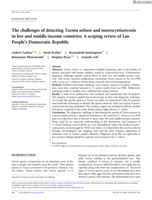 The challenges of detecting Taenia solium and neurocysticercosis in low and middle‐income countries: A scoping review of Lao People's Democratic Republic