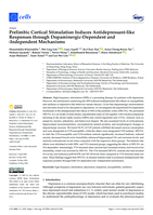 Prelimbic cortical stimulation induces Antidepressant-like responses through Dopaminergic-Dependent and -Independent Mechanisms