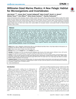 Millimeter-Sized Marine Plastics: A New Pelagic Habitat for Microorganisms and Invertebrates