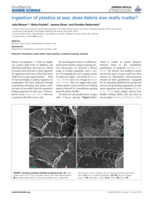 Ingestion of plastics at sea: does debris size really matter?