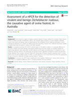 Assessment of a rtPCR for the detection of virulent and benign Dichelobacter nodosus, the causative agent of ovine footrot, in Australia