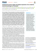 Multiclonal human origin and global expansion of an endemic bacterial pathogen of livestock
