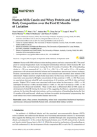 Human Milk Casein and Whey Protein and Infant Body Composition over the First 12 Months of Lactation