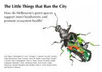 The Little Things that Run the City: How do Melbourne’s green spaces support insect biodiversity and ecosystem health?