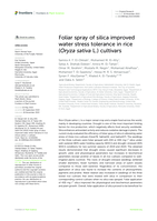 Foliar spray of silica improved water stress tolerance in rice (Oryza sativa L.) cultivars