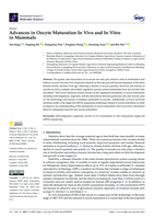 Advances in Oocyte Maturation In Vivo and In Vitro in Mammals