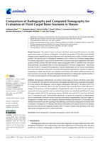 Comparison of Radiography and Computed Tomography for Evaluation of Third Carpal Bone Fractures in Horses