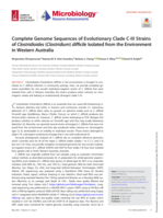 Complete Genome Sequences of Evolutionary Clade C-III Strains of Clostridioides ( Clostridium ) difficile Isolated from the Environment in Western Australia