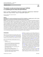The putative vacuolar processing enzyme gene TaVPE3cB is a candidate gene for wheat stem pith-thickness