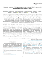 Molecular detection of highly pathogenic avian influenza H5N8 in commercial broiler chicken farms from 2019 to 2022