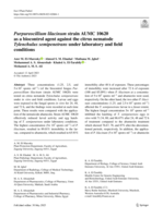 Purpureocillium lilacinum strain AUMC 10620 as a biocontrol agent against the citrus nematode Tylenchulus semipenetrans under laboratory and field conditions