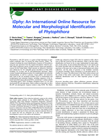 IDphy : An International Online Resource for Molecular and Morphological Identification of Phytophthora