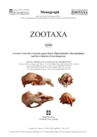 A review of the late Cenozoic genus Bohra (Diprotodontia: Macropodidae) and the evolution of tree-kangaroos