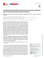 Gut-Spleen Axis: Microbiota via vascular and immune pathways improve Busulfan-Induced spleen disruption