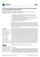 Expression profile of housekeeping genes and Tissue-specific genes in multiple tissues of pigs