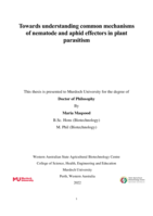 Towards understanding common mechanisms of nematode and aphid effectors in plant parasitism