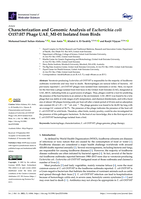 Characterization and Genomic Analysis of Escherichia coli O157:H7 Phage UAE_MI-01 Isolated from Birds