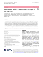 Heartworm adulticide treatment: A tropical perspective