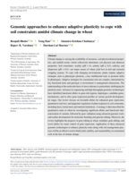 Genomic approaches to enhance adaptive plasticity to cope with soil constraints amidst climate change in wheat