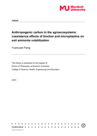 Anthropogenic carbon in the agroecosystems: Coexistence effects of biochar and microplastics on soil ammonia volatilization