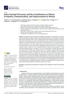 Intra-Varietal Diversity and Its Contribution to Wheat Evolution, Domestication, and Improvement in Wheat