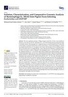 Isolation, Characterization, and Comparative Genomic Analysis of Bacteriophage Ec_MI-02 from Pigeon Feces Infecting Escherichia coli O157:H7