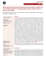 Sheep grazing Trigonella balansae had productivity, health and meat quality similar to sheep grazing subterranean clover or French serradella
