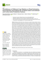 The influence of different crop mulches on weed infestation, soil properties and productivity of wheat under conventional and conservation production systems