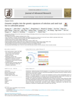Genomic insights into the genetic signatures of selection and seed trait loci in cultivated peanut