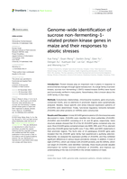 Genome-wide identification of sucrose non-fermenting-1-related protein kinase genes in maize and their responses to abiotic stresses