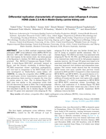 Differential replication characteristic of reassortant avian influenza A viruses H5N8 clade 2.3.4.4b in Madin-Darby canine kidney cell