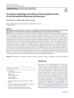 Convergent morphology and anatomy in the microphyllous leaves of selected heathland Myrtaceae and Asteraceae