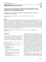 Fungal and bacterial endophytes antagonistic to Phytophthora species causing root rot in Cinnamomum cassia