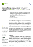 Current progress and future prospect of wheat genetics research towards an enhanced nitrogen use efficiency