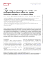 A high-quality Bougainvillea genome provides new insights into the evolutionary history and pigment biosynthetic pathways in the Caryophyllales