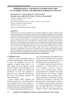 Morphological and molecular identification of an edible Russula mushroom in northeast Vietnam