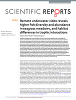 Remote underwater video reveals higher fish diversity and abundance in seagrass meadows, and habitat differences in trophic interactions