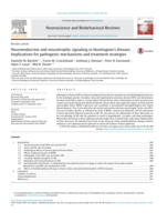 Neuroendocrine and neurotrophic signaling in Huntington’s disease: Implications for pathogenic mechanisms and treatment strategies