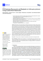 Co-Producing Phycocyanin and Bioplastic in Arthrospira platensis Using Carbon-Rich Wastewater