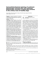 Immunohistochemical staining of urokinase plasminogen activator-like and urokinase plasminogen activator receptor-like proteins in the urinary tract of healthy dogs