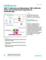 CD4+T cells drive an inflammatory, TNF-a/IFN-rich tumor microenvironment responsive to chemotherapy