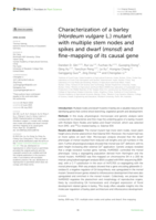 Characterization of a barley (Hordeum vulgare L.) mutant with multiple stem nodes and spikes and dwarf (msnsd) and fine-mapping of its causal gene