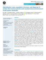 Hybridisation rates, population structure, and dispersal of sambar deer (Cervus unicolor) and rusa deer (Cervus timorensis) in south-eastern Australia