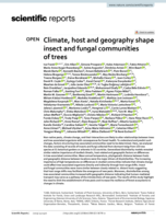 Climate, host and geography shape insect and fungal communities of trees
