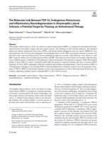 The Molecular Link Between TDP-43, Endogenous Retroviruses and Inflammatory Neurodegeneration in Amyotrophic Lateral Sclerosis: a Potential Target for Triumeq, an Antiretroviral Therapy