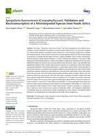 Spergularia hanoverensis (Caryophyllaceae): Validation and recircumscription of a misinterpreted species from South Africa