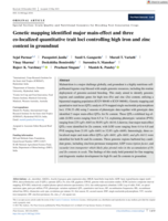 Genetic mapping identified major main‐effect and three co‐localized quantitative trait loci controlling high iron and zinc content in groundnut